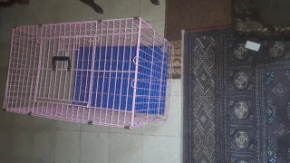 قفص طيور و حيوانات اليفه 2