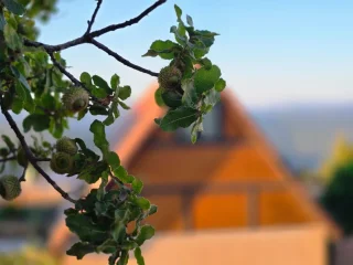 ليله من العمر في أجواء ساحرة 3