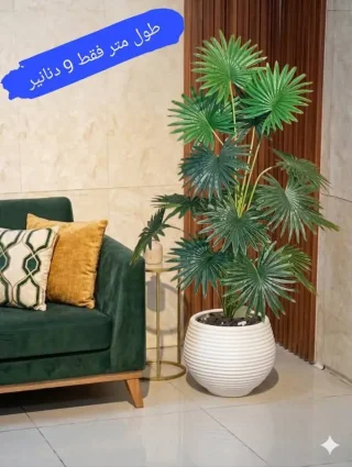 محمد الشنب