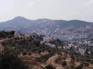 ارض للبيع 10