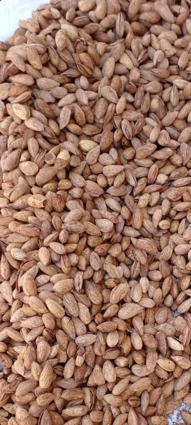 محمص برهومه 8