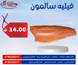 اسماك ومأكولات بحريه مجمد 14