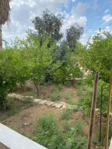 مزرعة مع بيت ريفي في الغور