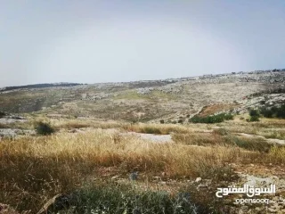 أرض زراعيّة تصلح لعمل مزرعة بأقل سعر في المنطقة 9