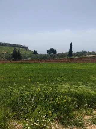 ارض للبيع في في مغاريب السلط