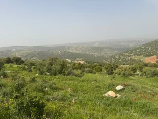 ارض بالزعتري السلط اطلاله رائعه 15