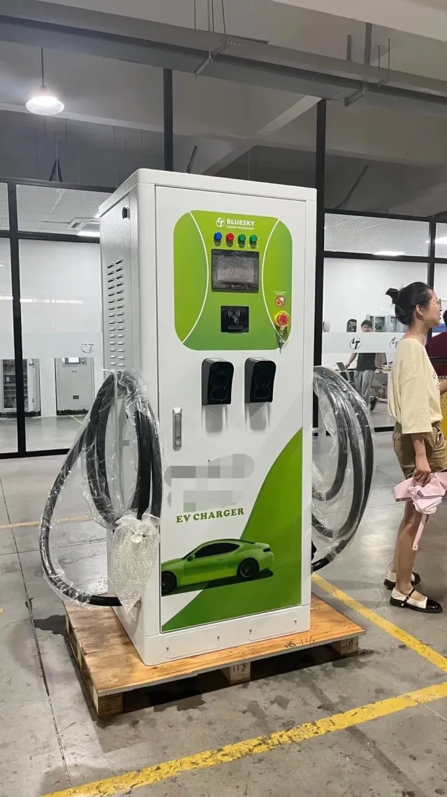 Hertz Charger 13