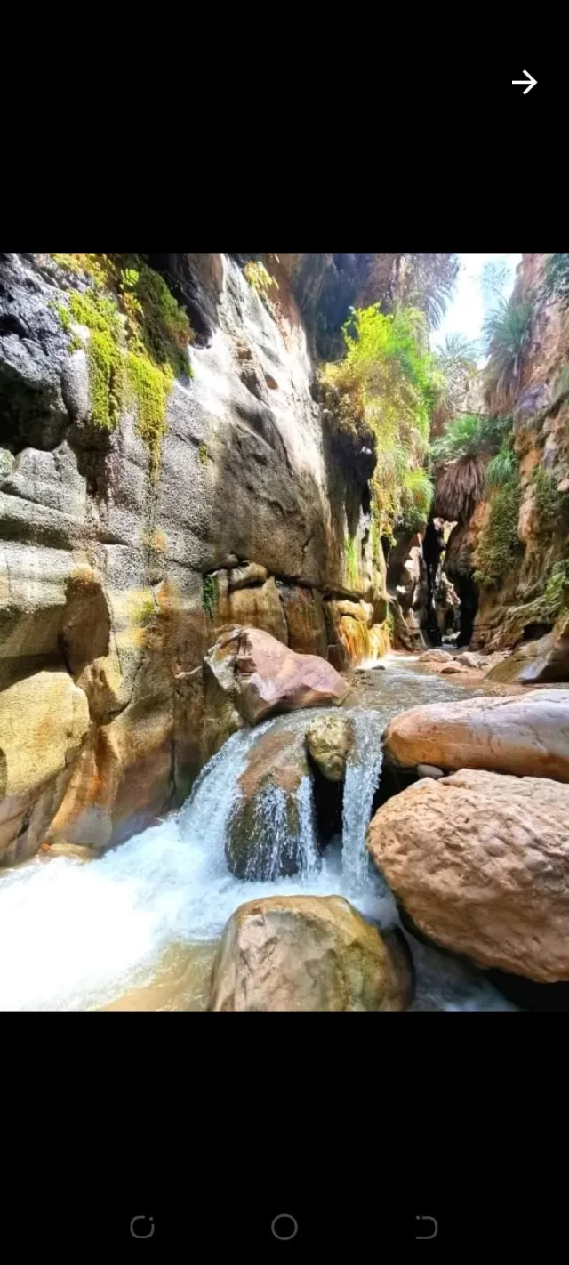 Abu shahem travel