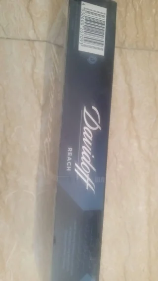 دوفيدوف ريتش 2