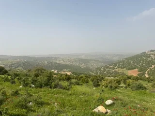 ارض بالزعتري السلط اطلاله رائعه 8