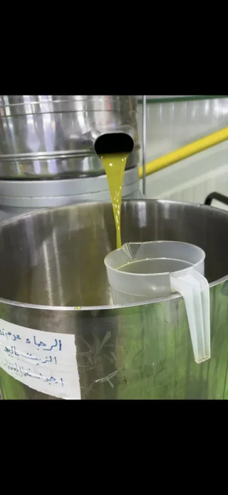 زيت زيتون من جبال السلط عصر اليوم و جرب قبل لا تشتري