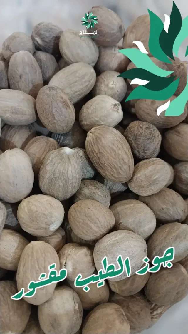 توابل الملاح 14