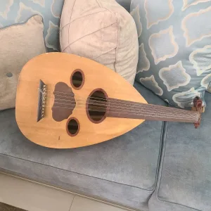 عود للبيع 4