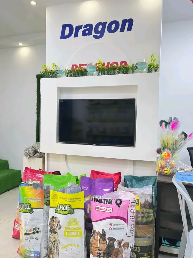 dargon Pet shop 12