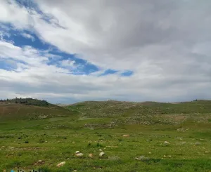 🌿 أرض مميزة للبيع – شفابدران / عمّان 🌿10 دونم و 294 متر – من المالك مباشرة📌 6