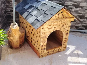 wooden house for dogs different types and sizes isolated from water and warm 8