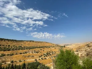 مزرعه مع فيلا ومسبح في العالوك للبيع 10