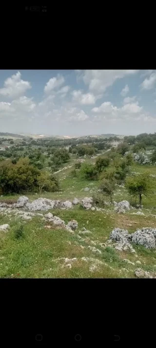 دونمين ارض للبيع في عجلون 11