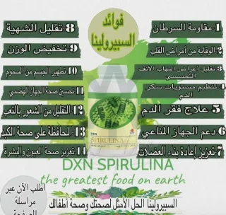 سيبرولينا الطحالب الخضراء 2