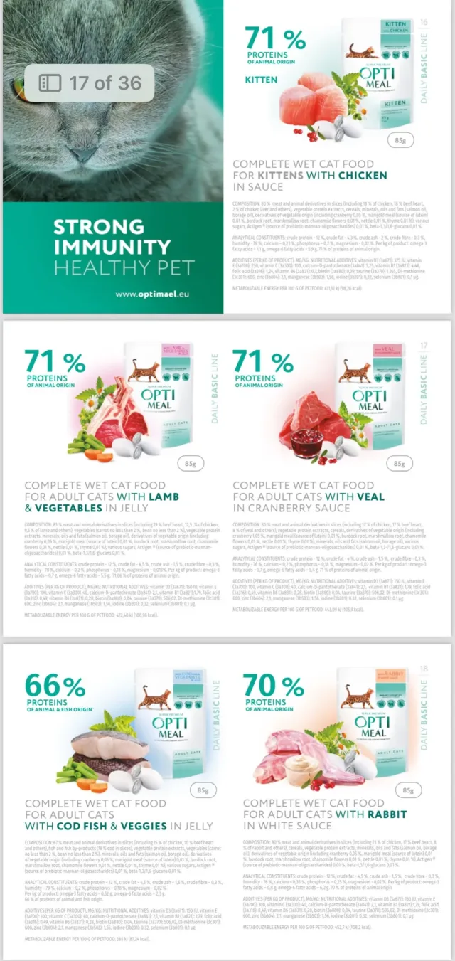 Msms Pet Store 8
