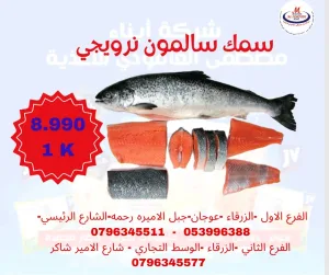 مجمدات لحوم دواجن خضار مجمد جميع اصناف المأكولات البحرية 8