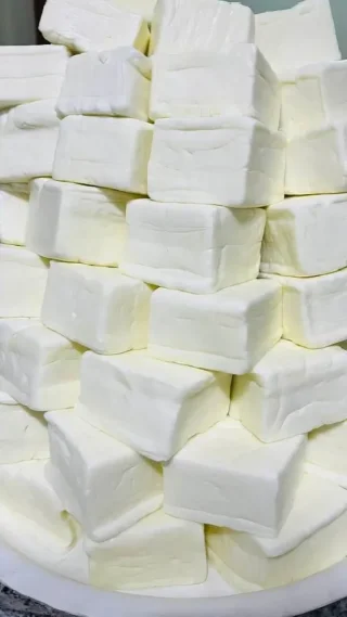 جبنة حلوم طازجة