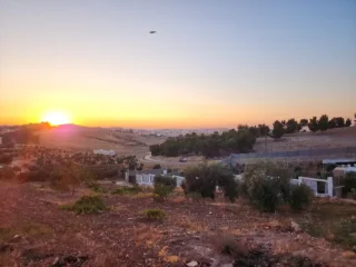 مزرعة مميزة مفروزة مخدومة على ٣ شوارع 14