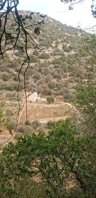 ارض زراعيه للبيع 6