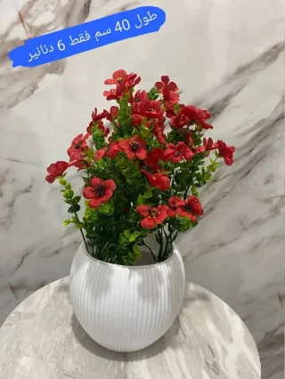 محمد الشنب