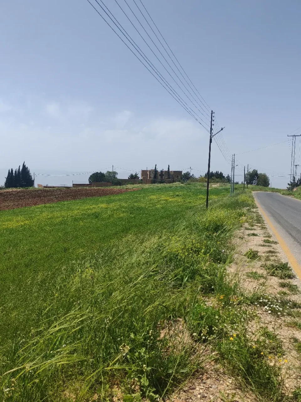ارض للبيع في في مغاريب السلط