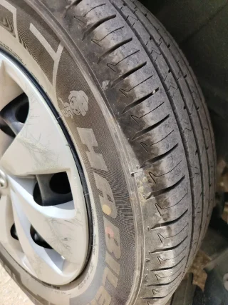 يارس  ٢٠١٧ 5