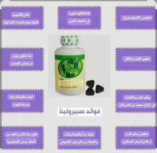 سيبرولينا الطحالب الخضراء 14