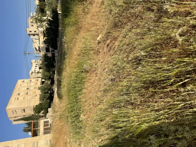 حسين علي حسين الفحام 2