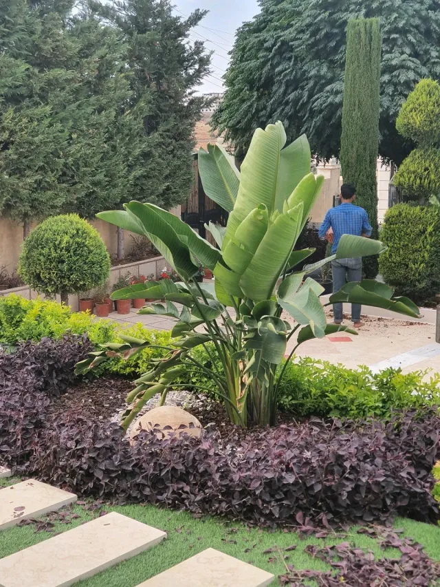 مشاتل ناعور الزراعية 10