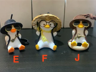 Swing Duck 6