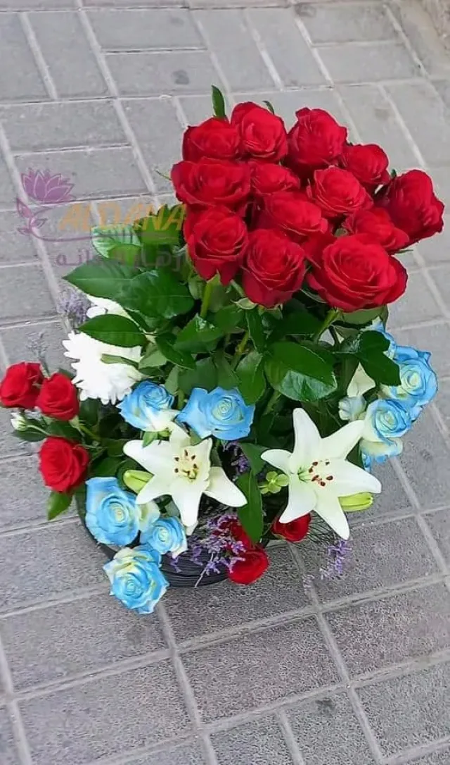 ازهار الدانة 14