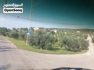 مزرعة مميزة منطقة شاليهات ومصايف للاستثمار 3