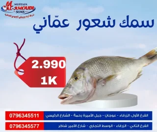 اسماك ومأكولات بحريه مجمد 7