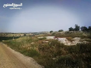 أرض زراعيّة تصلح لعمل مزرعة بأقل سعر في المنطقة 7