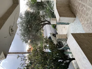 شقة للبيع بني كنانة - سما الروسان 2