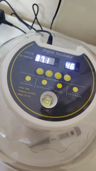فقاسة بيض ١٦ بيضه 3
