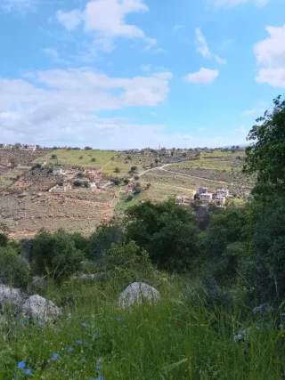 مزرعه للبيع 14