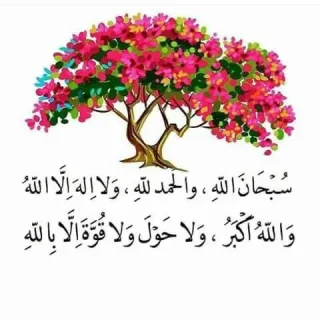 ايفون ١١ للبيع 2