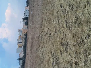 ارض للبيع مشترك 6