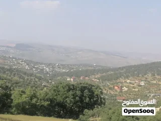 مزرعة مميزة منطقة شاليهات ومصايف للاستثمار 6