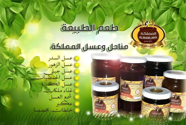 مناحل وعسل المملكه 6