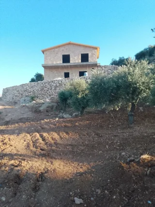 مزرعه للبيع 2