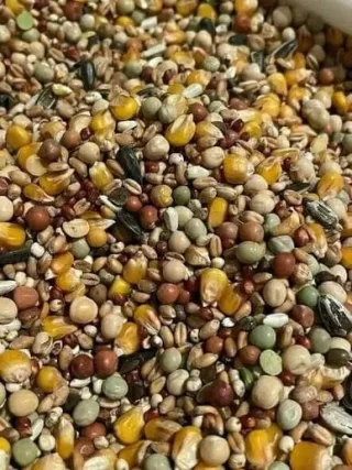 طعام وعلاج حيونات اليفه ❤ 5
