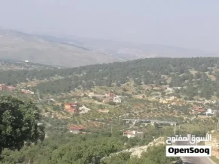 مزرعة مميزة منطقة شاليهات ومصايف للاستثمار 2