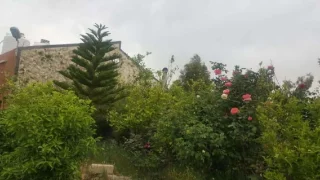 منزل مستقل للبيع شبه مزرعه
